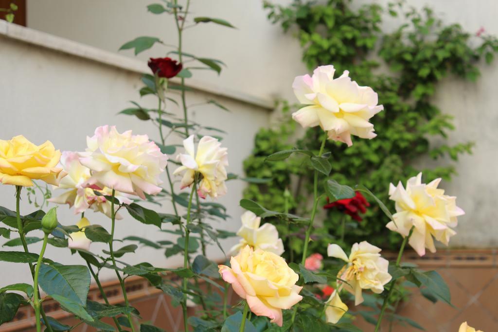Apartamento Jardin De La Ribera. Córdoba Exteriér fotografie