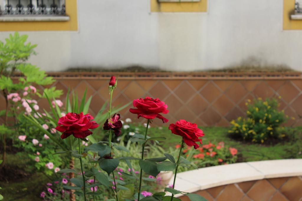 Apartamento Jardin De La Ribera. Córdoba Exteriér fotografie